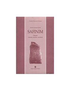 Safinim. I Sanniti: Vicende, Ricerche, Contributi