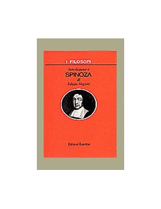 Introduzione a Spinoza