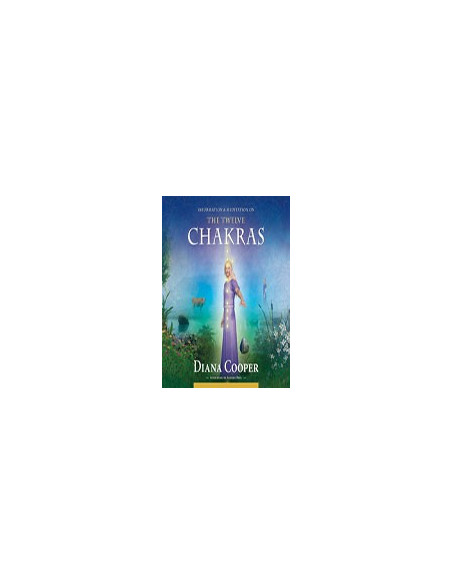 The Twelve Chakras
