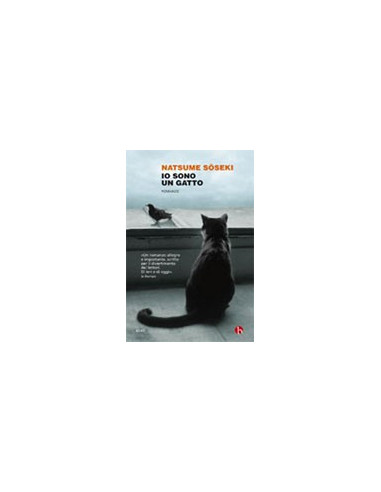 Io Sono Un Gatto