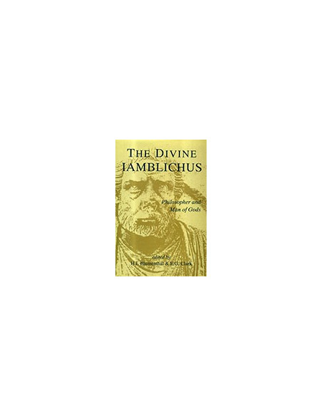 The Divine Iamblichus