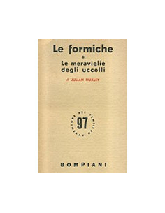 Le Formiche e le Meraviglie degli Uccelli