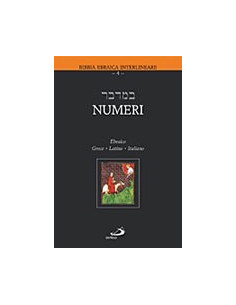 Numeri
