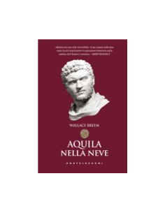 Aquila nella Neve