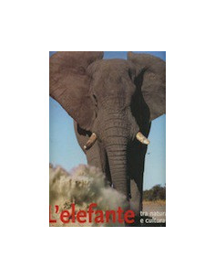 L'Elefante