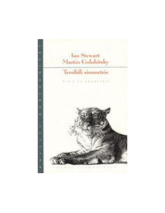 Terribili Simmetrie