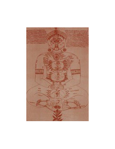 Acconto La Psicanalisi dei Chakra – Corso Teorico-Pratico