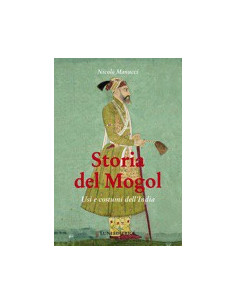 Storia del Mogol
