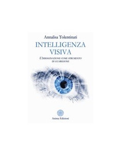 Intelligenza Visiva