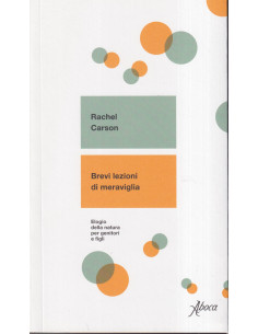 Brevi lezioni di meraviglia
