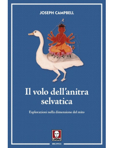 Il volo dell'anitra selvatica