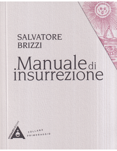 Manuale di insurrezione