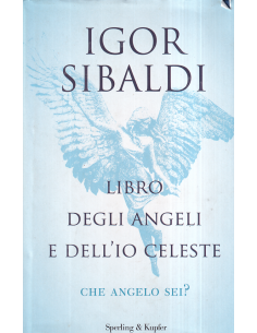 Libro degli angeli e dell'io celeste