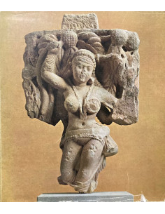 The Arts of India and Nepal