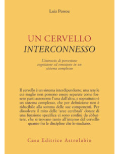Un cervello interconnesso