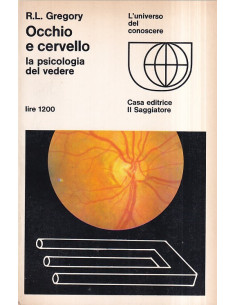 Occhio e cervello