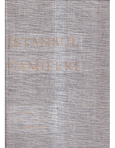 Istanbul Camileri