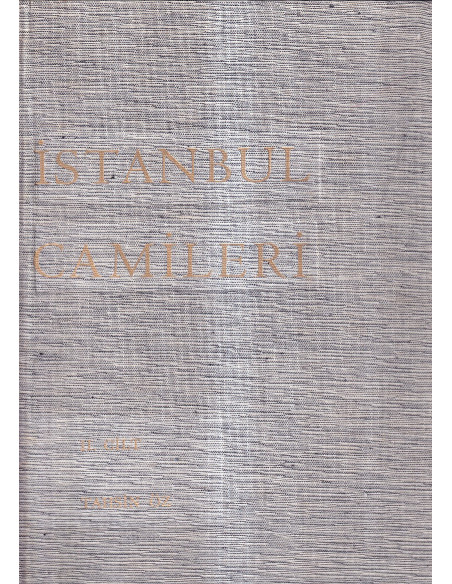 Istanbul Camileri