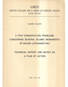 A few conservation problems concerning several Islamic monuments in Ghazni (Afghanistan)