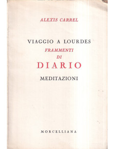 Viaggio a Lourdes