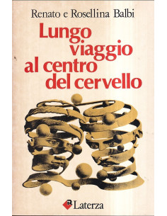 Lungo viaggio al centro del cervello