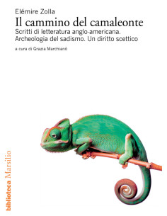 Il cammino del camaleonte