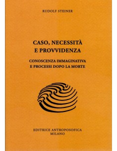 Caso, necessità e provvidenza