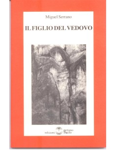 Il figlio del vedovo