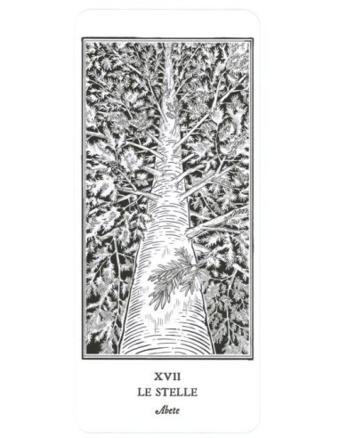 I tarocchi degli alberi