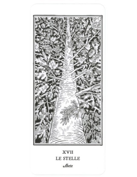 I tarocchi degli alberi