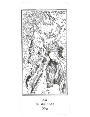 I tarocchi degli alberi