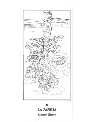 I tarocchi degli alberi