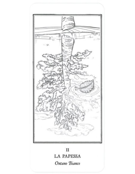 I tarocchi degli alberi