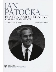 Platonismo negativo e altri frammenti