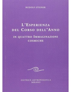 L'esperienza del corso dell'anno