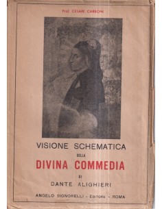 Visione schematica della Divina Commedia