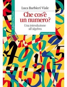 Che cos'è un numero?
