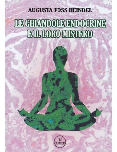 Le ghiandole endocrine e il loro mistero