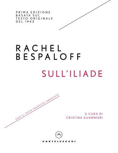 Sull'Iliade